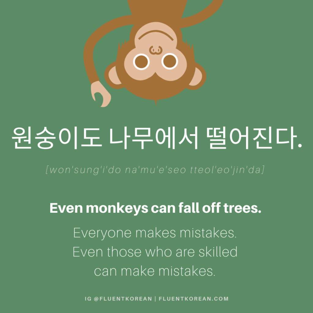 원숭이도 나무에서 떨어진다 