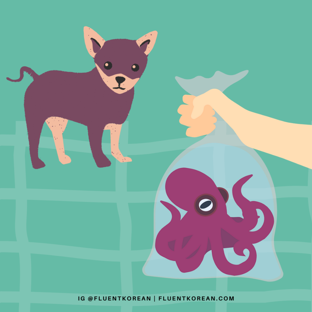[Proverb] 개 미워서 낙지 산다 – To Buy Octopus Out of Hatred for One’s Dog ?
