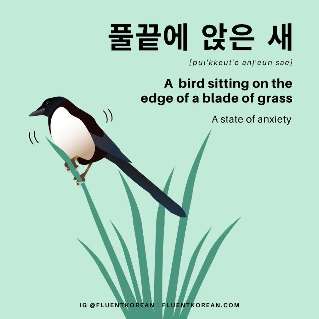 A Bird Sitting on a Blade of Grass